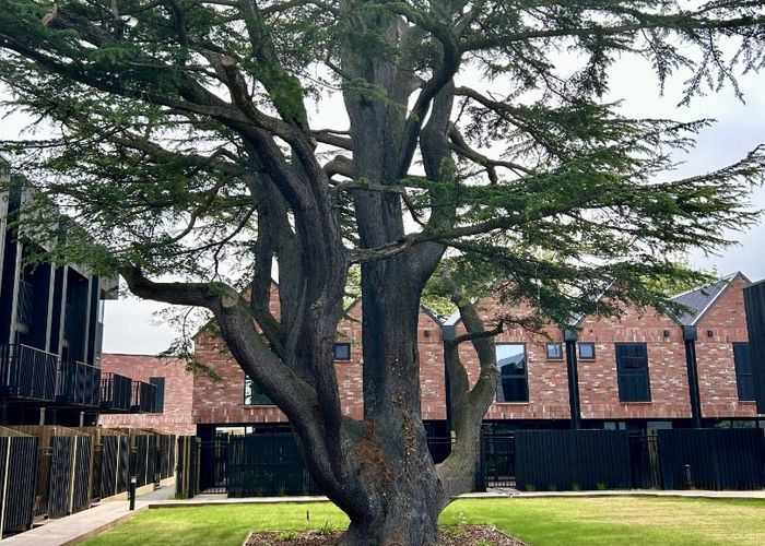  at 6/892 Colombo Street, City Centre, Christchurch City, Canterbury