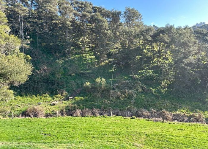  at 305 Waingaro Road, NGARUAWAHIA