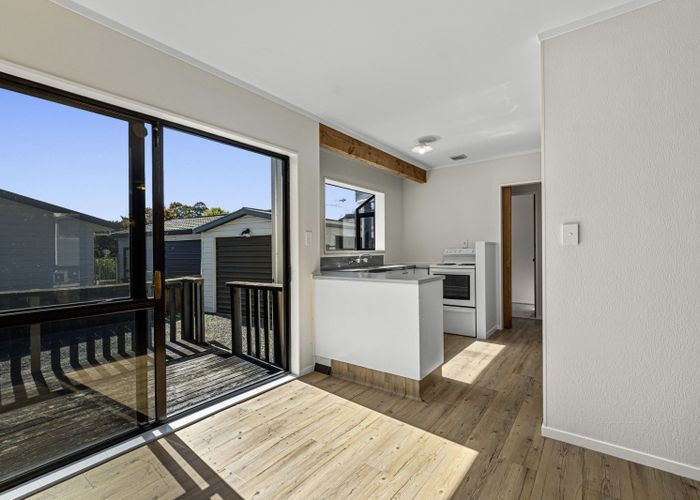  at 17B Ila Place, Hairini, Tauranga