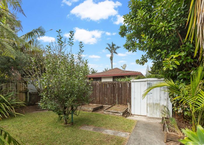  at 6 Palm Court Drive, Glen Eden, Auckland