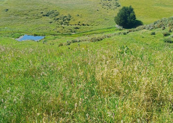  at Lot 3 DP 592022 Siegerts Road, Fairlie, Mackenzie, Canterbury