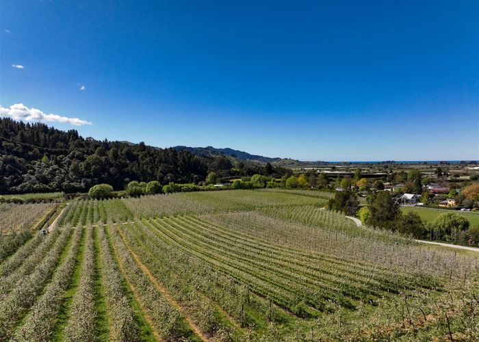  at 85 Brooklyn Valley Road, Riwaka, Tasman, Nelson / Tasman