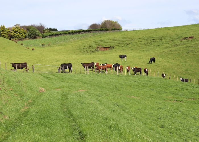  at Lt2/310 Henwood Road, Bell Block, New Plymouth, Taranaki
