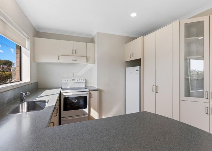  at 1/156 Carrington Street, Lower Vogeltown, New Plymouth