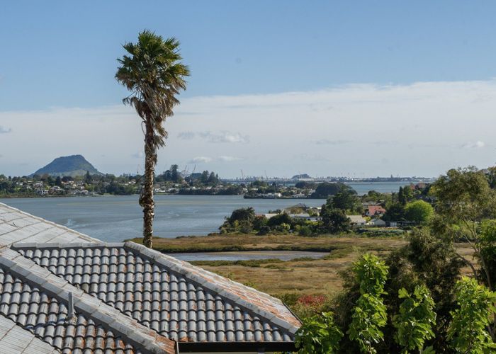 at 44 Diamond Head, Hairini, Tauranga, Bay Of Plenty