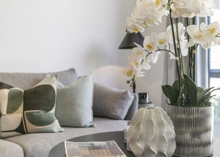  at 19/955 Mount Eden Road, Three Kings, Auckland City, Auckland