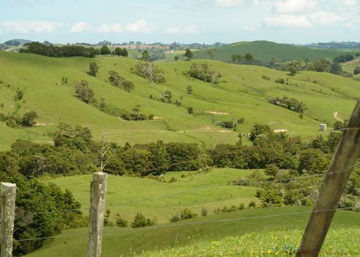  at 0 Waimanu Road, Topuni, Wellsford