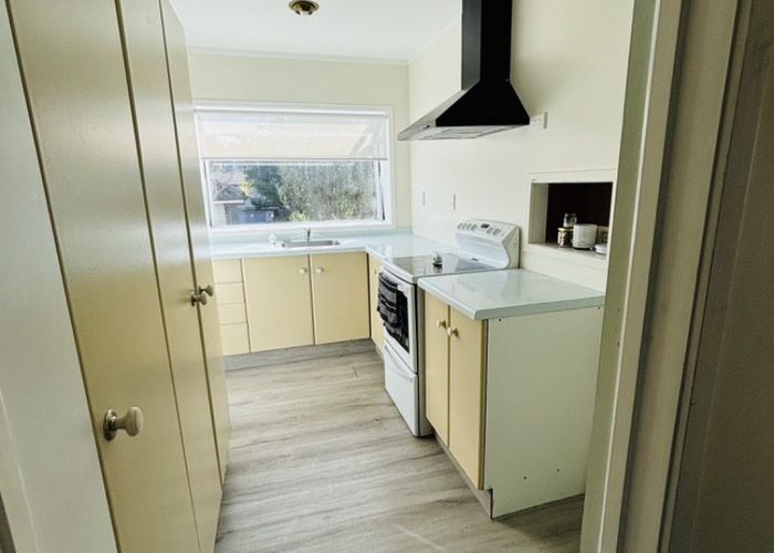  at 115A Halsey drive, Lynfield, Auckland City, Auckland