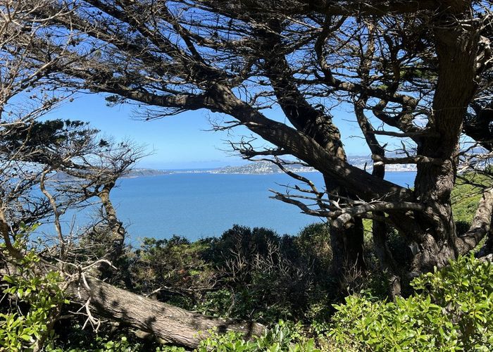  at 52A Dungarvan Road, Newlands, Wellington, Wellington