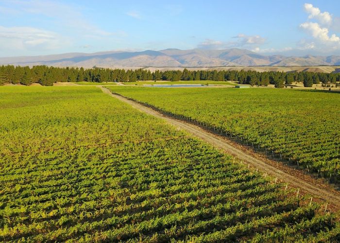  at 351 Maori Point Road, Tarras, Central Otago, Otago