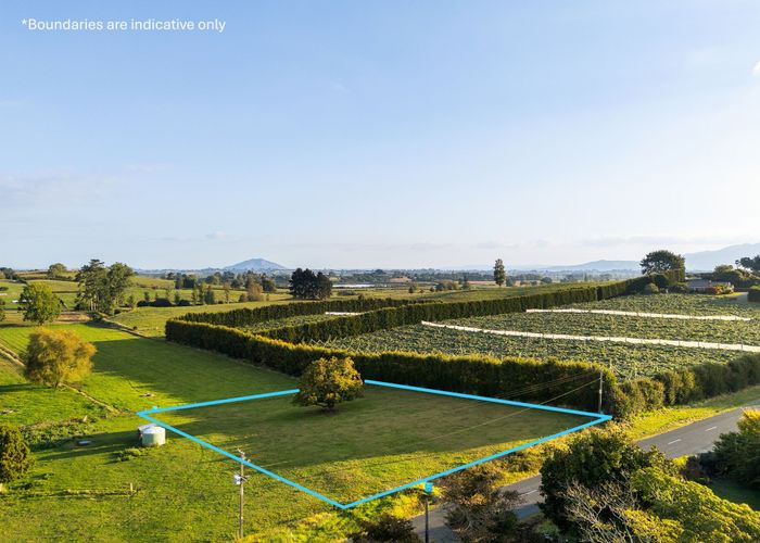  at 55 Forkert Road, Ohaupo, Waipa, Waikato