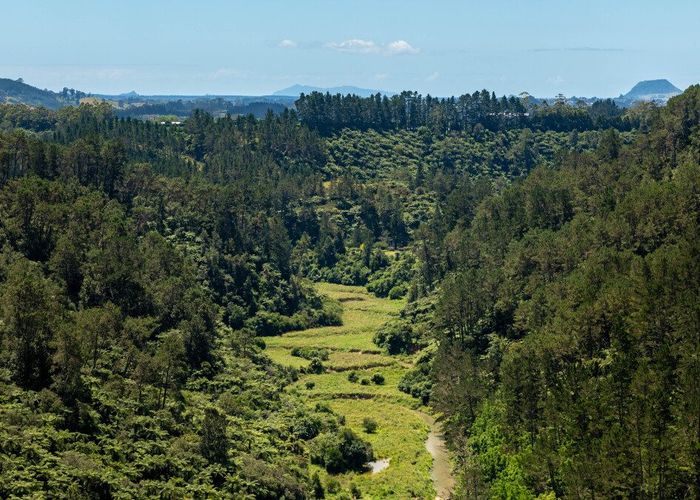  at 429 Omanawa Road, Tauranga