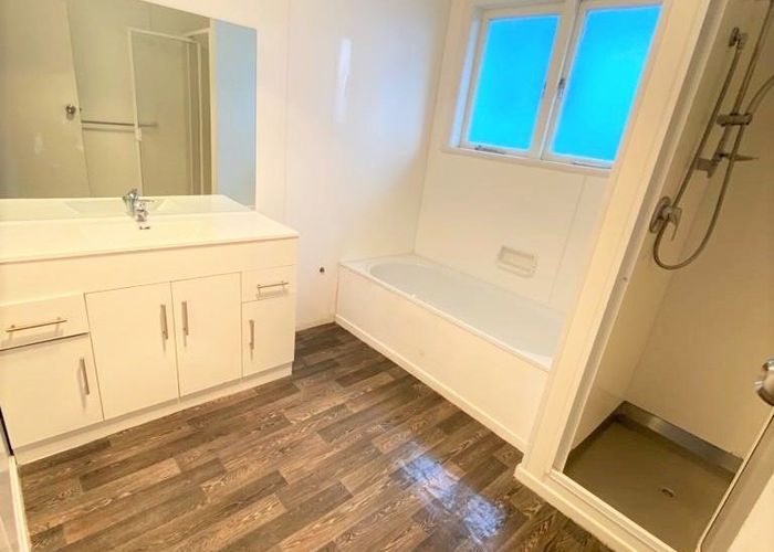  at 20 Maioro Street, New Windsor, Auckland City, Auckland