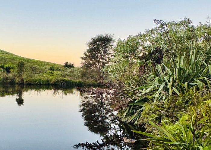  at 152 Turner Road, Whakamarama, Western Bay Of Plenty, Bay Of Plenty