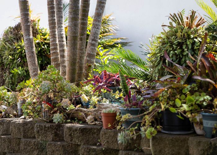  at 3/11 Ngaio Street, Takapuna, North Shore City, Auckland