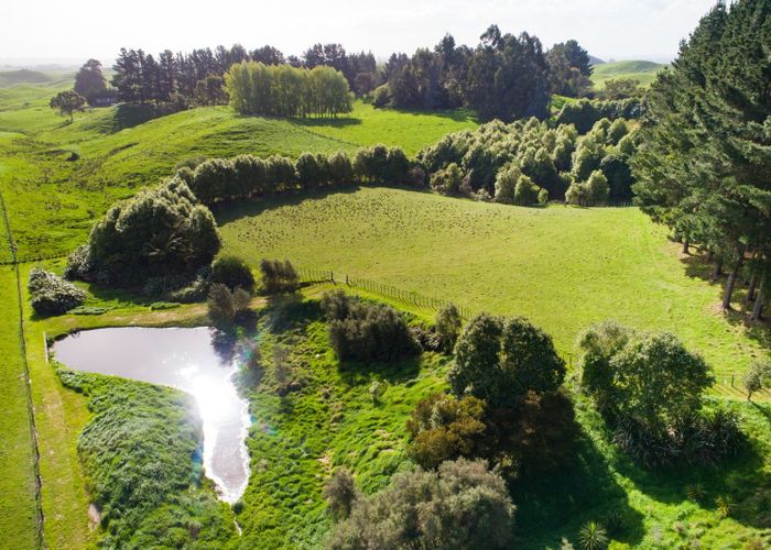  at 484 Finnis Road, Pohangina