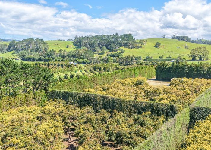  at 25 Orua Lane, Whenuakite, Thames-Coromandel, Waikato