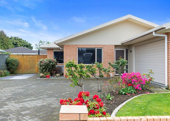  at 15 Pembroke Drive, Bethlehem, Tauranga, Bay Of Plenty