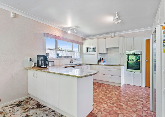  at 17 Frank Place, Hillpark, Auckland