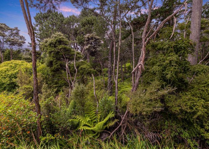  at 180 Schnapper Rock Road, Schnapper Rock, Auckland