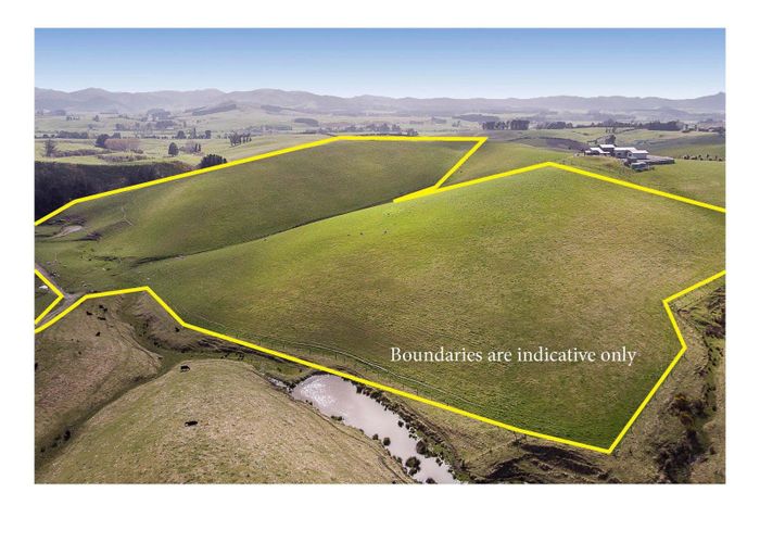 For sale Taieri Peak Road, Palmerston, Waitaki, Otago homes.co.nz