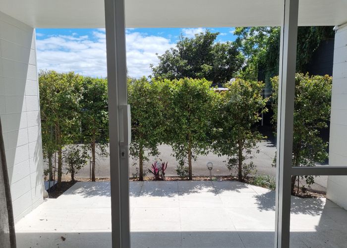  at 10/3 Birdwood Crescent, Parnell, Auckland City, Auckland