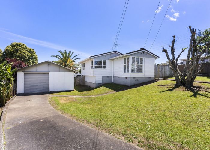  at 20 Fitzgerald Road, Mount Wellington, Auckland City, Auckland