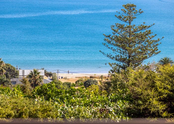  at 79C Hill Road, Palm Beach, Waiheke Island