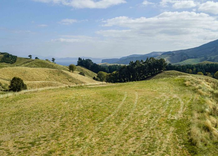  at 10 Olsen Place, Kinloch, Taupo, Waikato