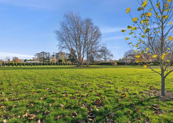  at 49D Rosebanks Drive, Hamilton