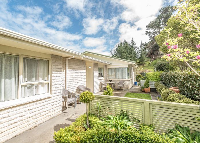  at 41 Downes Avenue, Springvale, Whanganui