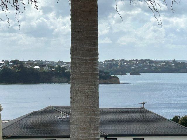  at 17 Rothesay Bay Road, Rothesay Bay, North Shore City, Auckland