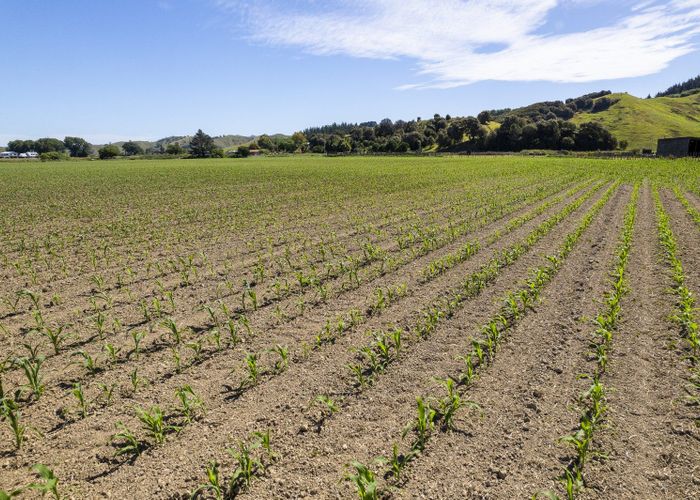  at 622 Lavenham Road, Ngatapa, Gisborne, Gisborne