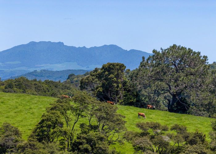  at 185 Waingaro Landing Road, Raglan, Waikato, Waikato