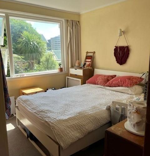  at 3/38 Colombo Street (rent subsidy for applicants on low incomes (see below), flexible start-date, very sunny), Newtown, Wellington, Wellington