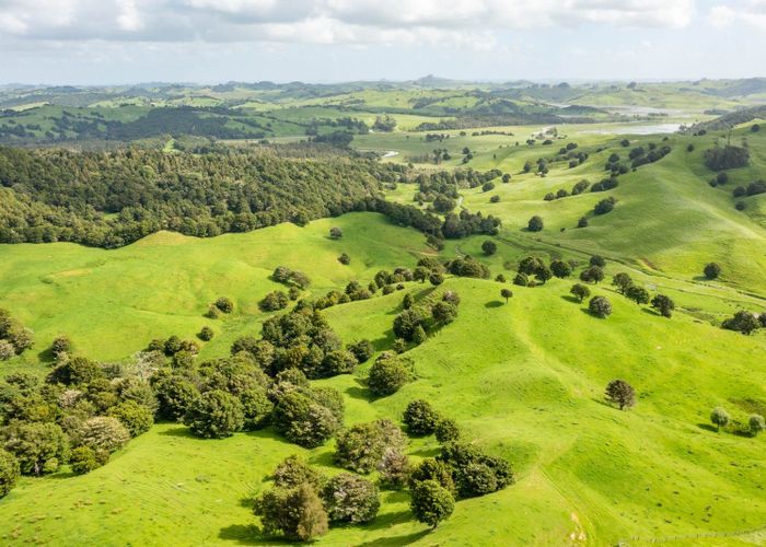  at Mangarata Block Road (63.23 ha), Tangiteroria, Kaipara, Northland