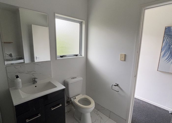  at 17 Don Croot Street, Kingsland, Auckland City, Auckland