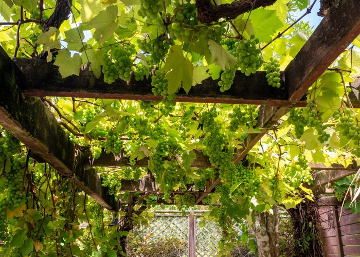  at 17 Acacia Road, Lake Okareka, Rotorua, Bay Of Plenty