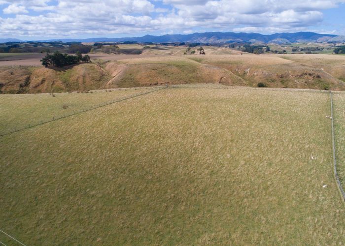  at 1052 Taonui Road, Colyton, Feilding