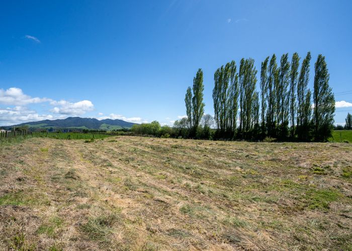  at 1091 Arapuni Road, Arapuni, Waikato, Waikato