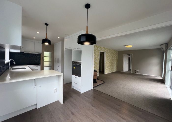  at 45 Salamanca Road, Sunnynook, North Shore City, Auckland