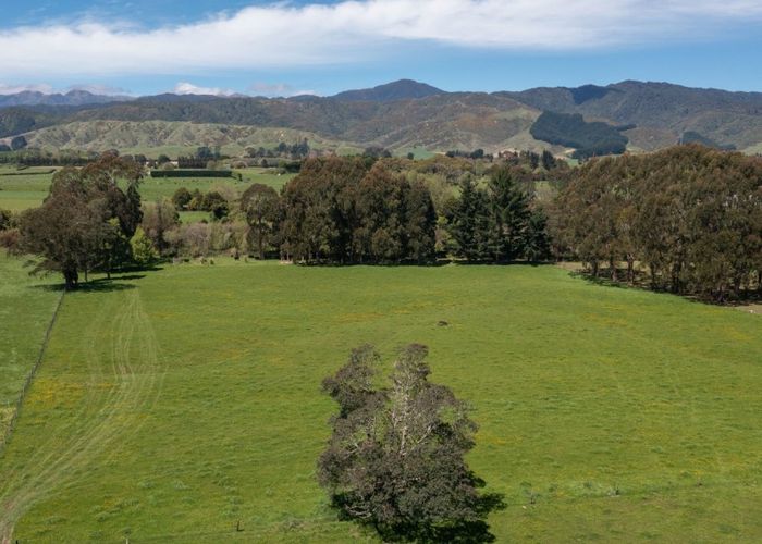  at 501 Arapaepae Road, OHAU, LEVIN