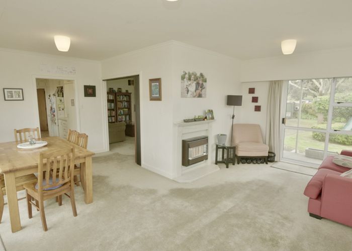  at 387 Albert St, Hokowhitu, Palmerston North, Manawatu / Whanganui