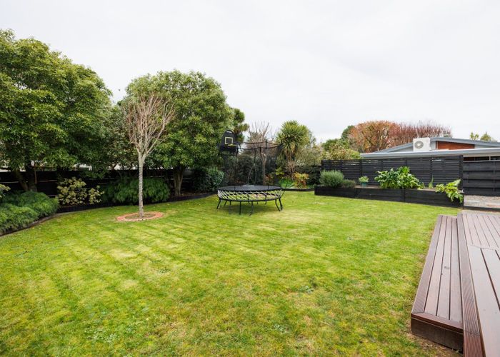  at 50 Newcastle Street, Hokowhitu, Palmerston North, Manawatu / Whanganui