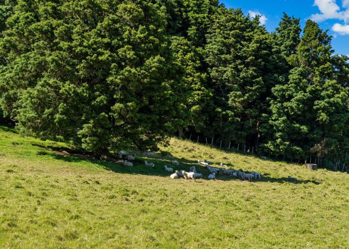  at 75 Snooks Road, Maungatapere, Whangarei, Northland