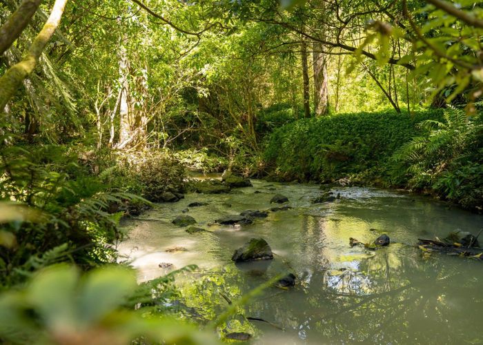  at 246 Gray Road, Te Kamo, Whangārei