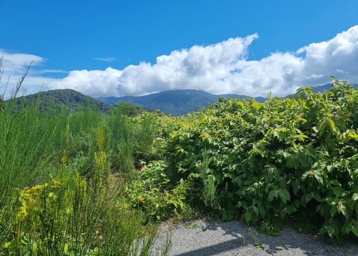  at 48 Clifford Street, Blackball, Greymouth