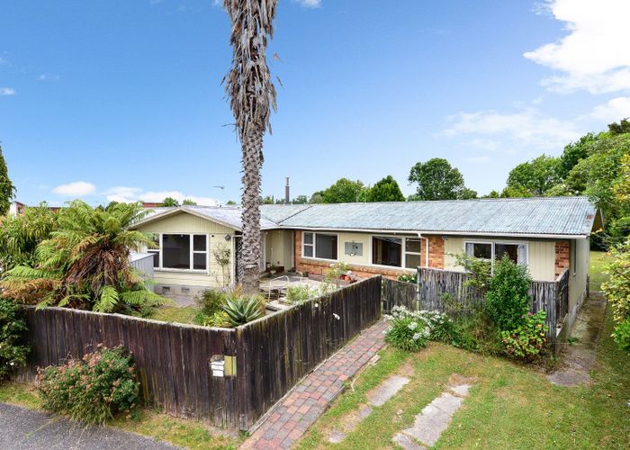  at 19 Patricia Avenue, Hamilton East, Hamilton