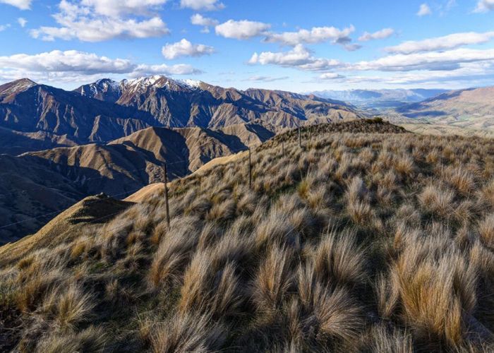  at 1624 Cardrona Valley Road, Cardrona, Wanaka, Otago