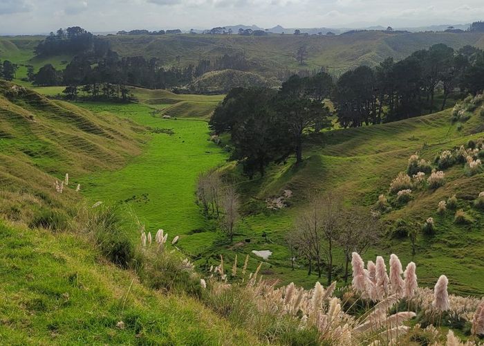  at 240 Pinaki  Road, Te Kopuru, Kaipara, Northland